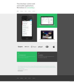 Tivix 专注定制化Web与移动应用开发，打造易用、灵活、通用与可扩展的卓越产品