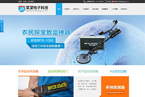 专业网站定制开发,企业公司官网设计制作